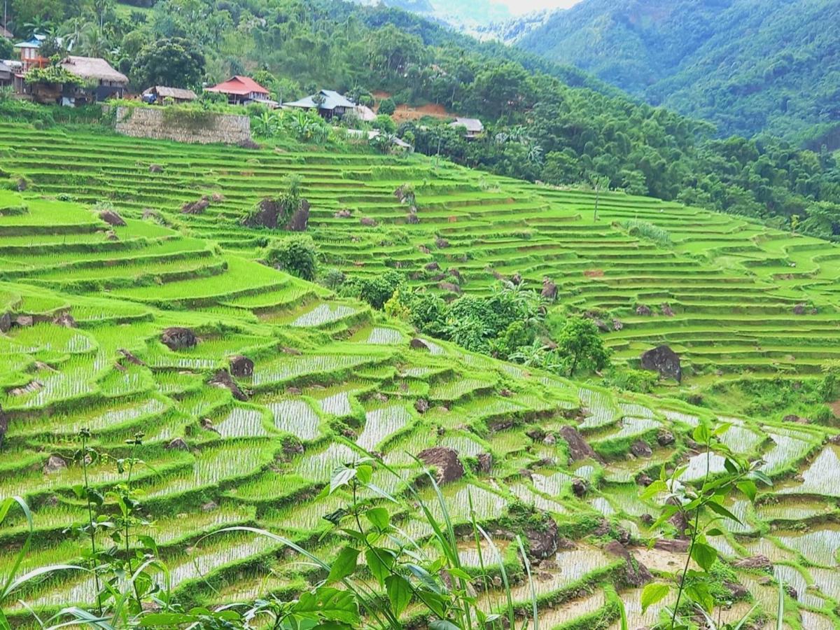 Nha Tan - Mai Chau Homestay And Tours 외부 사진